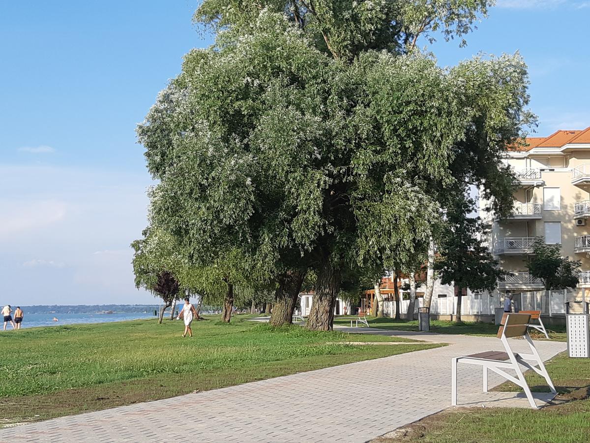 Lakeside Family Apartment شيوفوك المظهر الخارجي الصورة